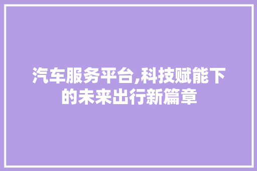 汽车服务平台,科技赋能下的未来出行新篇章