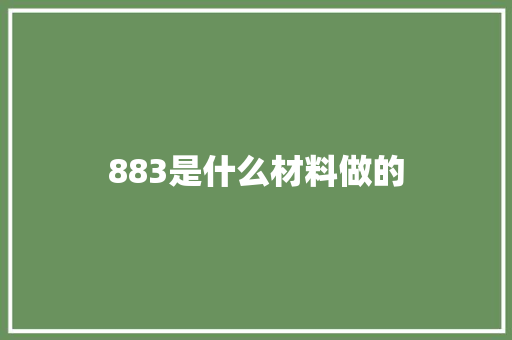 883是什么材料做的 工作总结