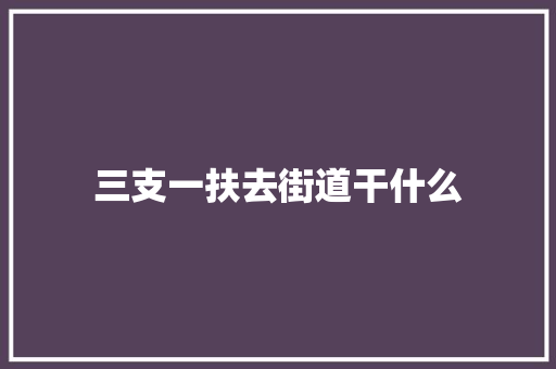三支一扶去街道干什么