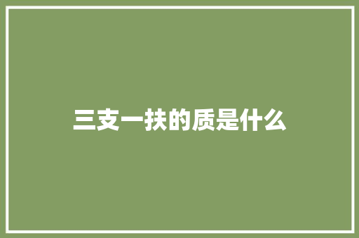 三支一扶的质是什么