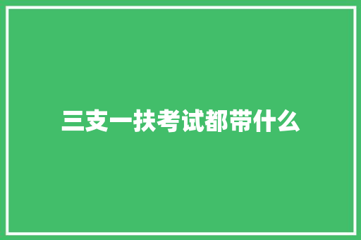 三支一扶考试都带什么