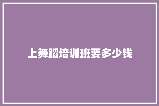 上舞蹈培训班要多少钱