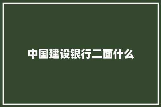 中国建设银行二面什么