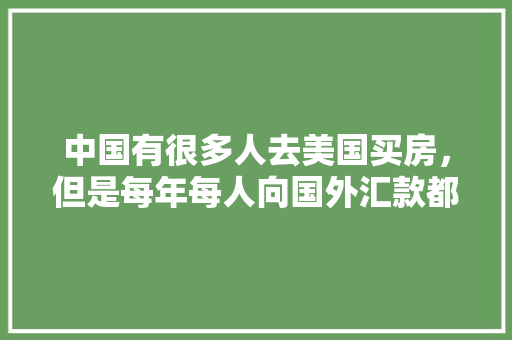 短信行业新纪元,技术革新下的未来展望