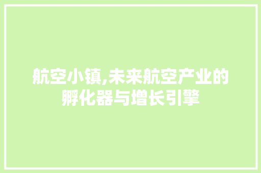 航空小镇,未来航空产业的孵化器与增长引擎