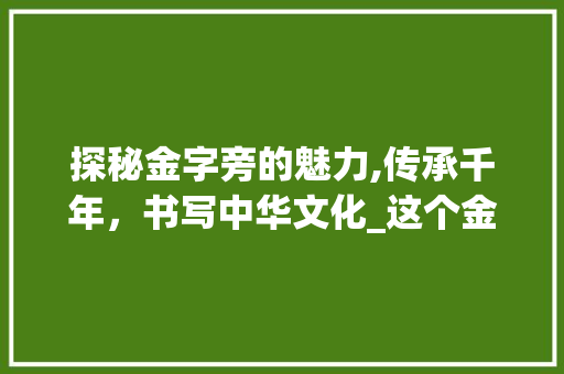 探秘金字旁的魅力,传承千年，书写中华文化_这个金字旁的字组词