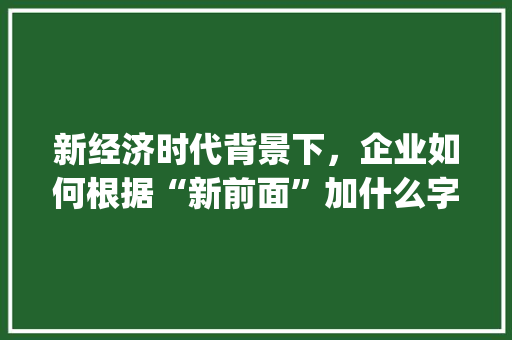 新经济时代背景下，企业如何根据“新前面”加什么字组词实现转型升级_新前面加什么字组词 工作报告