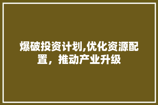 爆破投资计划,优化资源配置，推动产业升级