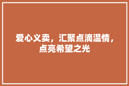 爱心义卖，汇聚点滴温情，点亮希望之光