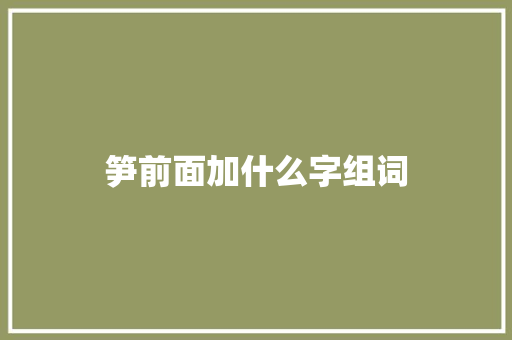 笋前面加什么字组词