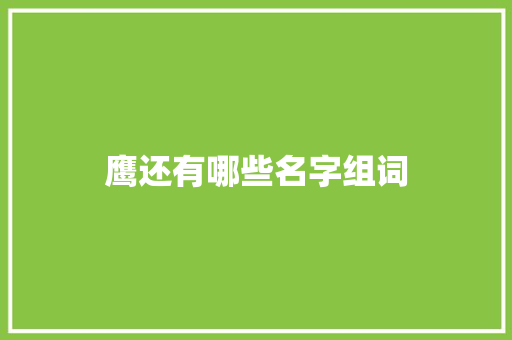 鹰还有哪些名字组词