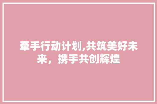 牵手行动计划,共筑美好未来，携手共创辉煌