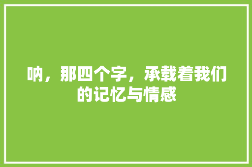 呐，那四个字，承载着我们的记忆与情感