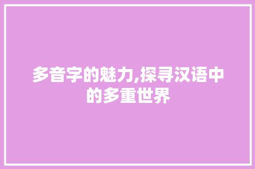 多音字的魅力,探寻汉语中的多重世界 工作总结