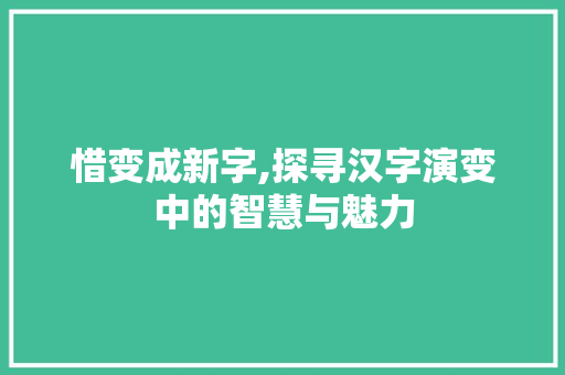 惜变成新字,探寻汉字演变中的智慧与魅力
