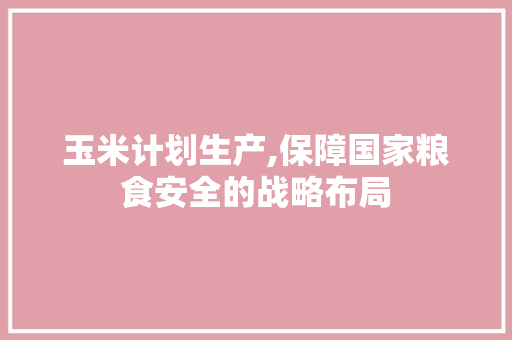 玉米计划生产,保障国家粮食安全的战略布局