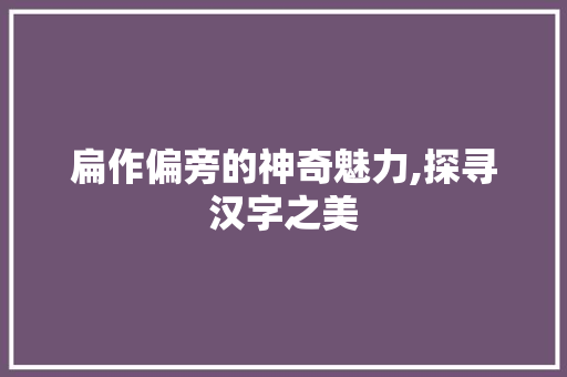 扁作偏旁的神奇魅力,探寻汉字之美