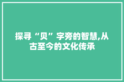 探寻“贝”字旁的智慧,从古至今的文化传承 采访稿