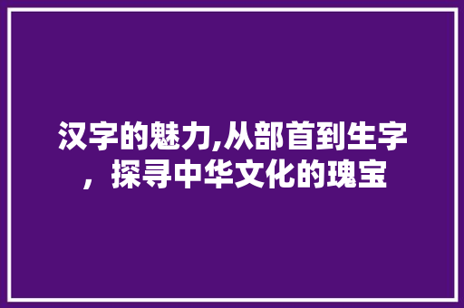 汉字的魅力,从部首到生字，探寻中华文化的瑰宝