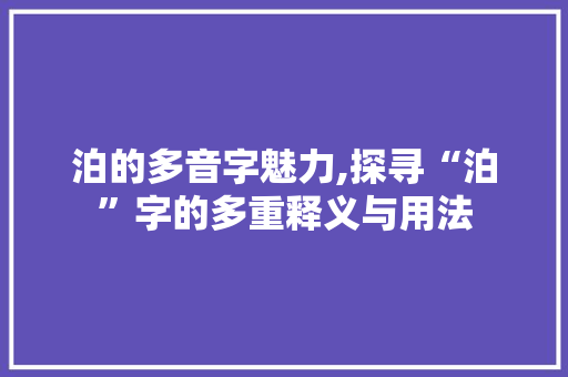 泊的多音字魅力,探寻“泊”字的多重释义与用法