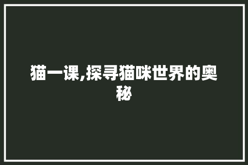 猫一课,探寻猫咪世界的奥秘