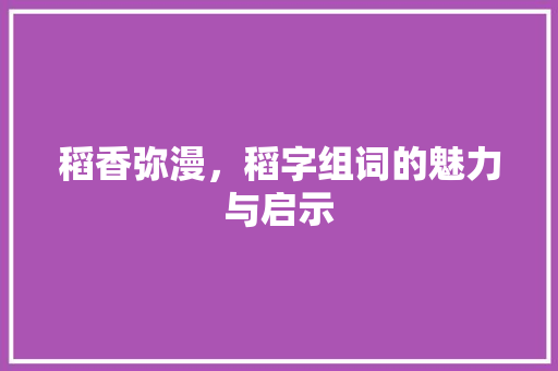 稻香弥漫，稻字组词的魅力与启示