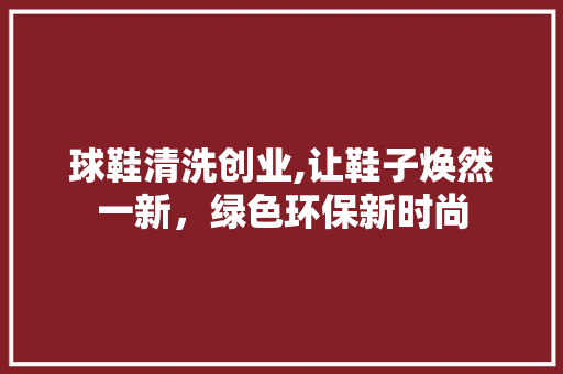 球鞋清洗创业,让鞋子焕然一新，绿色环保新时尚
