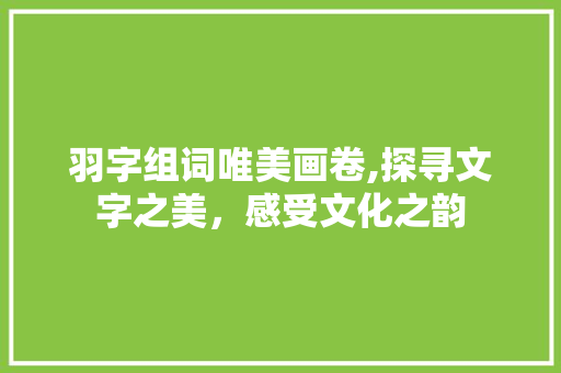 羽字组词唯美画卷,探寻文字之美，感受文化之韵