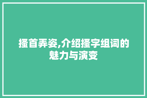 搔首弄姿,介绍搔字组词的魅力与演变 采访稿
