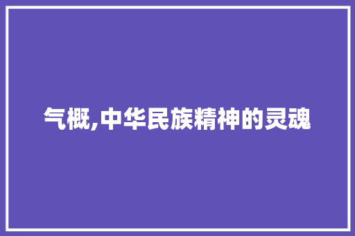 气概,中华民族精神的灵魂