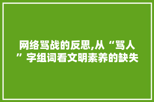 网络骂战的反思,从“骂人”字组词看文明素养的缺失