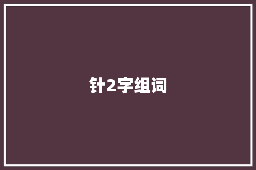 针2字组词