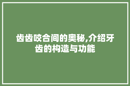 齿齿咬合间的奥秘,介绍牙齿的构造与功能