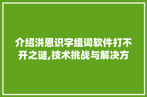 介绍洪恩识字组词软件打不开之谜,技术挑战与解决方法_洪恩识字组词打不开