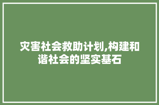 灾害社会救助计划,构建和谐社会的坚实基石