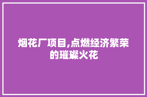 烟花厂项目,点燃经济繁荣的璀璨火花