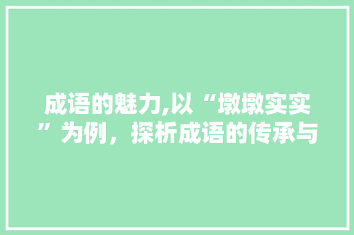 成语的魅力,以“墩墩实实”为例，探析成语的传承与创新