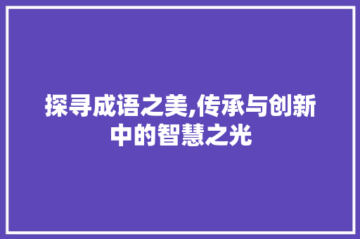 探寻成语之美,传承与创新中的智慧之光