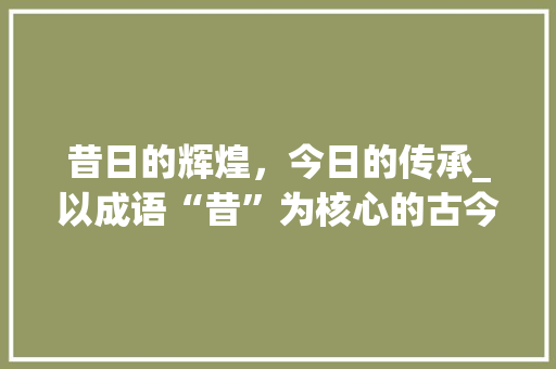 昔日的辉煌，今日的传承_以成语“昔”为核心的古今对话