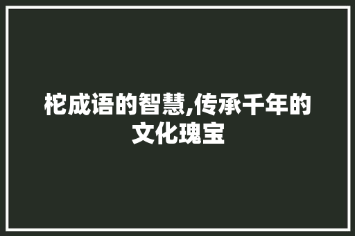 柁成语的智慧,传承千年的文化瑰宝