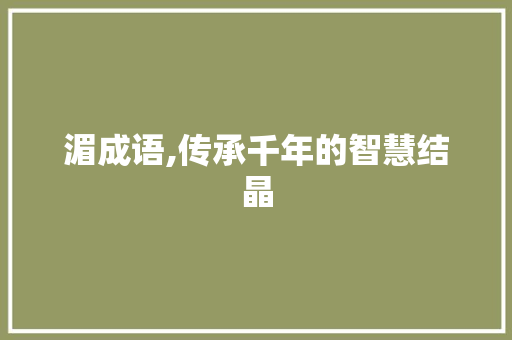 湄成语,传承千年的智慧结晶