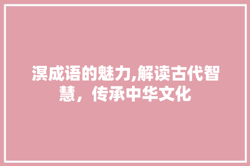 溟成语的魅力,解读古代智慧，传承中华文化
