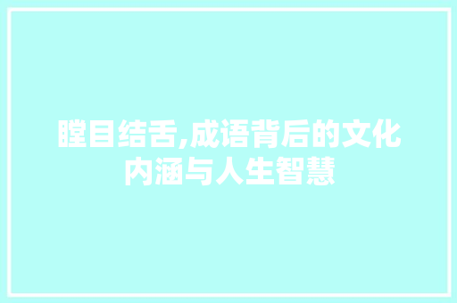 瞠目结舌,成语背后的文化内涵与人生智慧