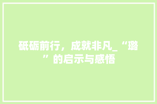 砥砺前行，成就非凡_“璐”的启示与感悟