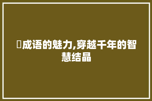礡成语的魅力,穿越千年的智慧结晶
