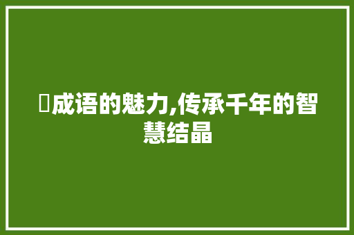窋成语的魅力,传承千年的智慧结晶 商业文稿