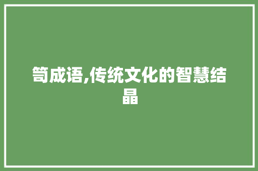 笥成语,传统文化的智慧结晶
