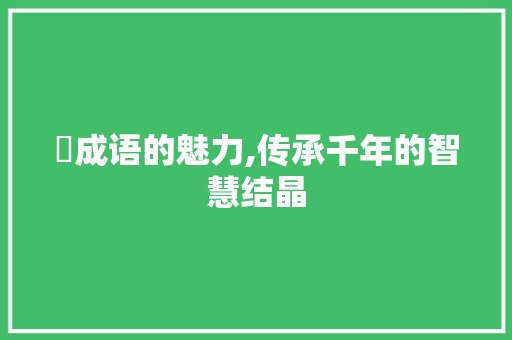 肹成语的魅力,传承千年的智慧结晶