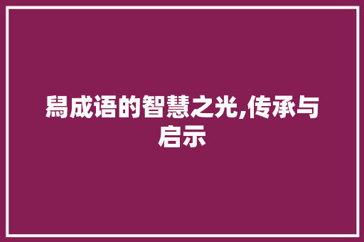 舄成语的智慧之光,传承与启示