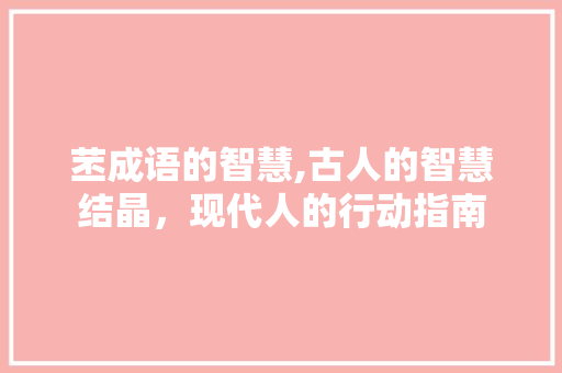 苤成语的智慧,古人的智慧结晶，现代人的行动指南